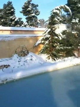 La neige à Maussane-les-Alpilles, janvier 2010