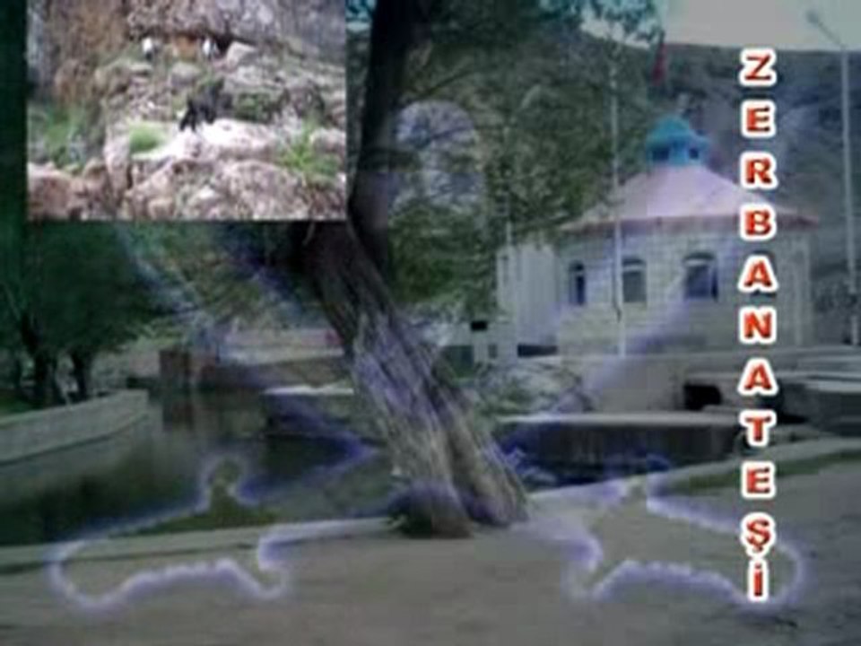 www.zerbanatesi.com