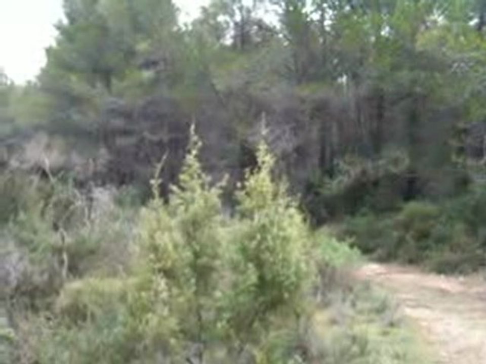 airsoft