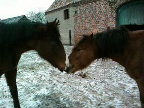 1ère leçon libre avek Rex