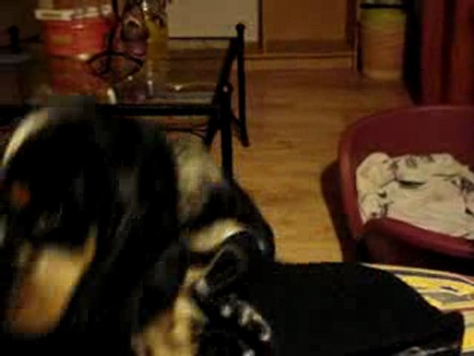 J'y arriverai un jour, j'y arriverai !!!