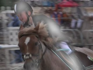 ecurie du petit bois 2009 LB