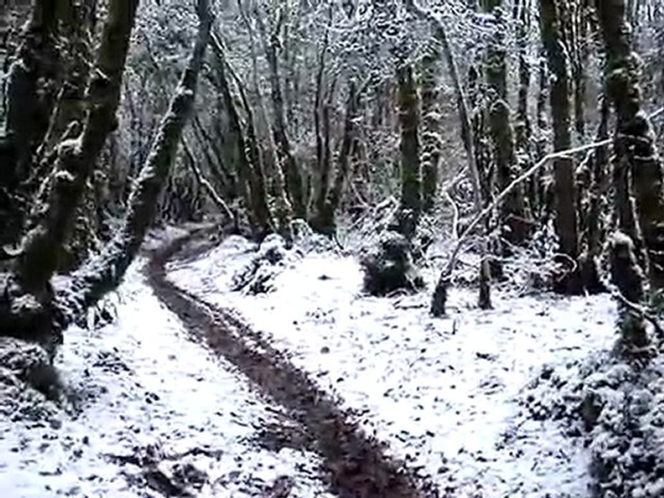 in the snow 1