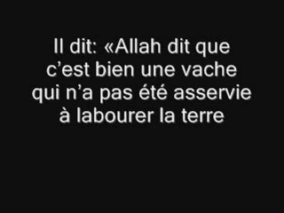 l'histoire de la vache (Moise)