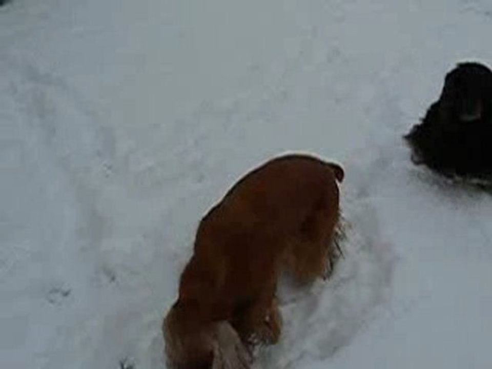 tania dans la neige !
