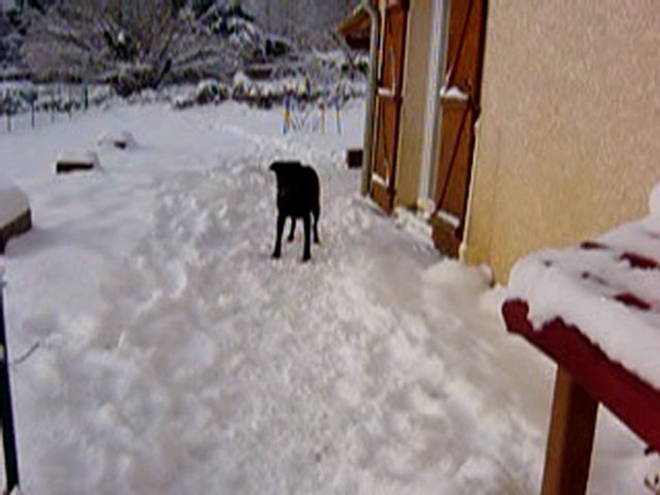 Mes 3 amours dans la neige