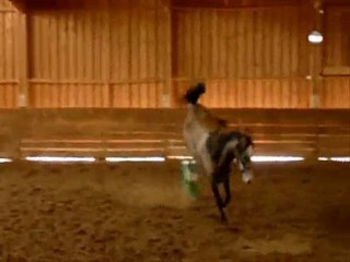 Sirène au manège le 10-01-2010