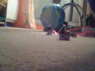 ma collecte de feves detaillee