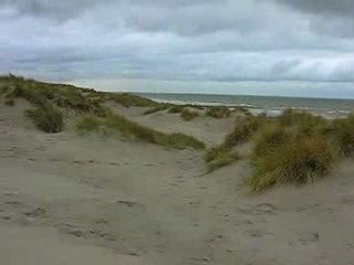 VIDEO Nad au bord de Mer