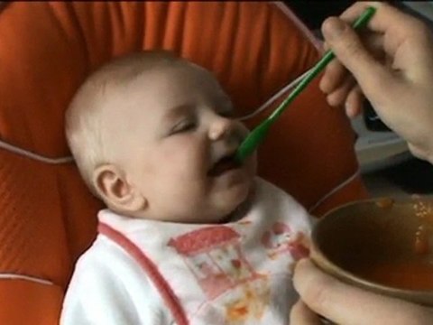 1er repas Carotte Elsa 100110