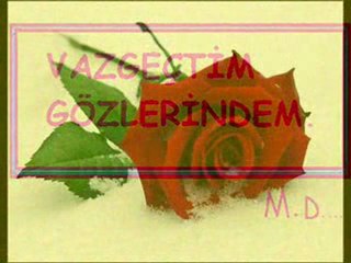 Güllü ödüm kopuyor