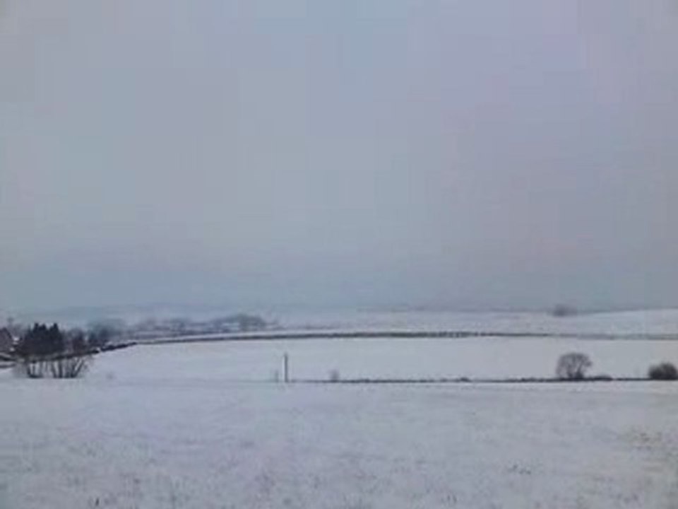 Neige à Moyenvic, janvier 2010