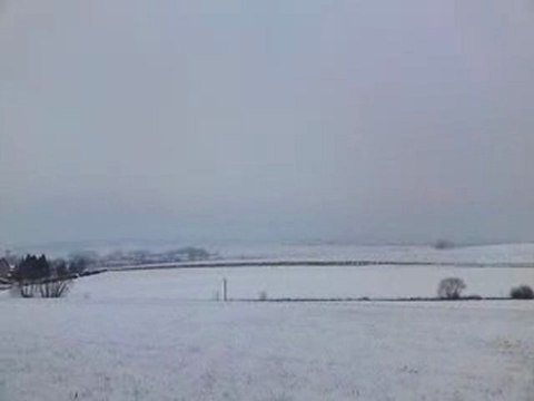 Neige à Moyenvic, janvier 2010