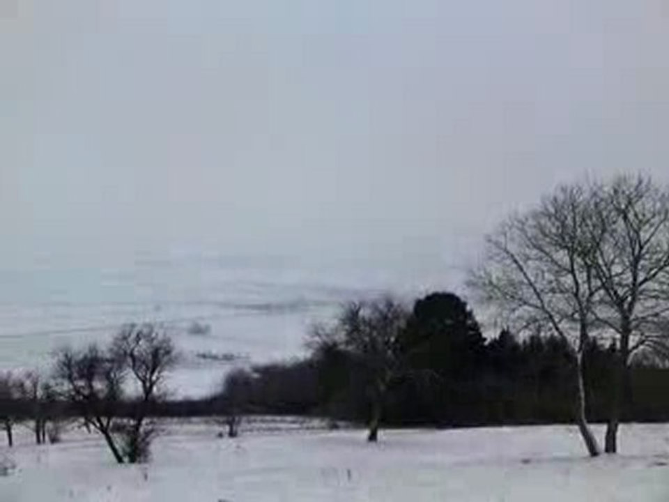 Neige à Moyenvic, janvier 2010