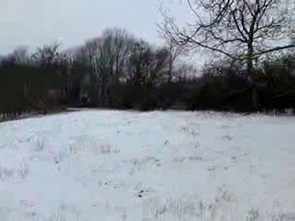 Neige à Moyenvic, janvier 2010