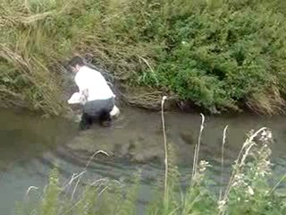 Sauvetage d'un  veau dans le nard