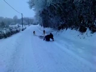 Chute en luge 2