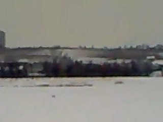 tavsanlar kahve icerken