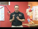 Importance of Stretching & Strengthening Your Rotator Cuff