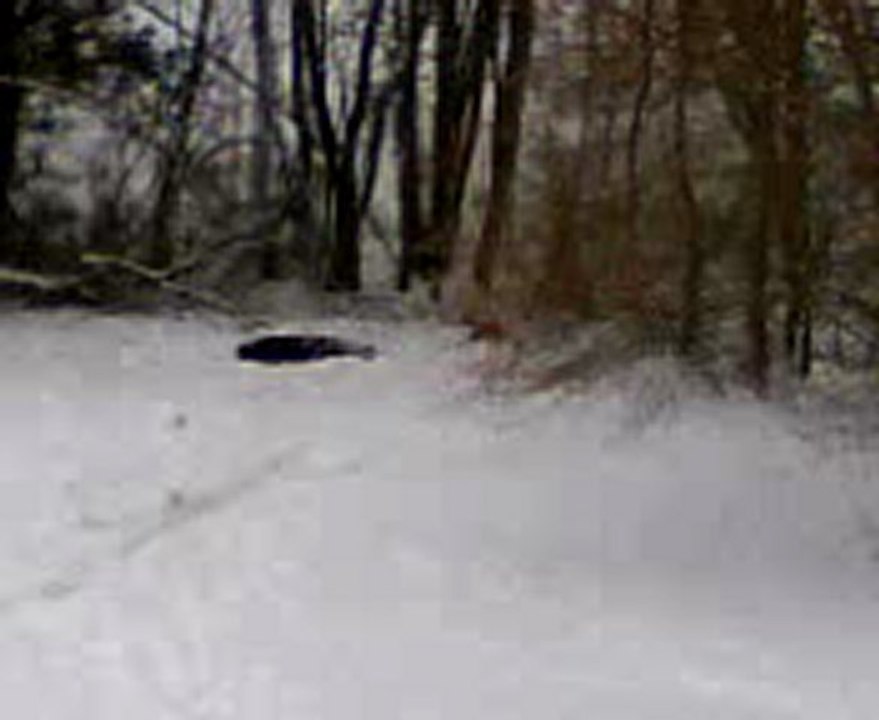 MOV00370