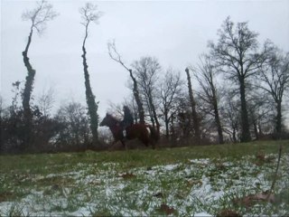 Radjah début janvier 2010