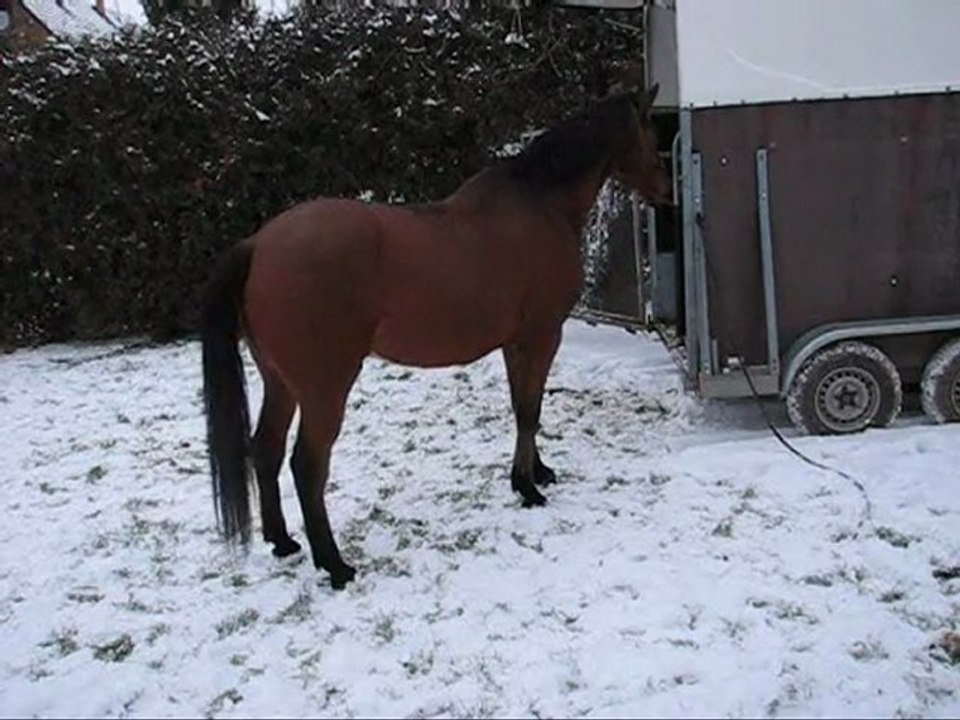 Vicky séance van, janvier 2010