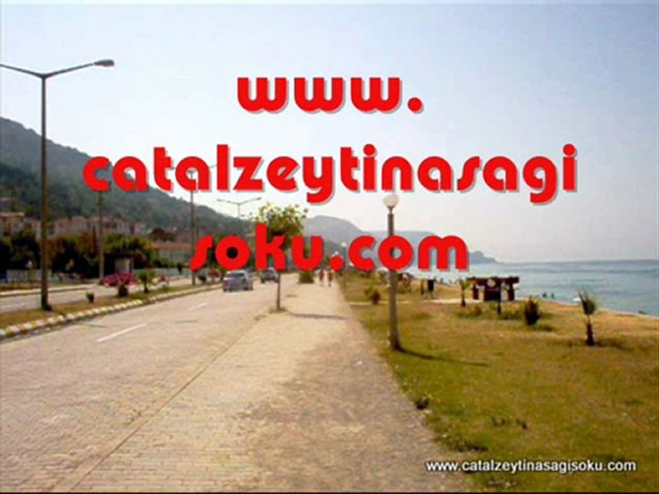 çatalzeytinin yitirilen değerlileri