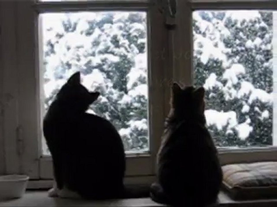 Neige 2010