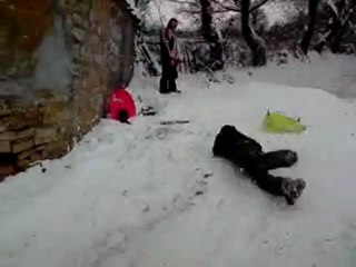 Luge 2010