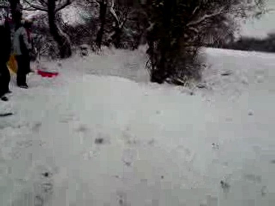 Luge 2010