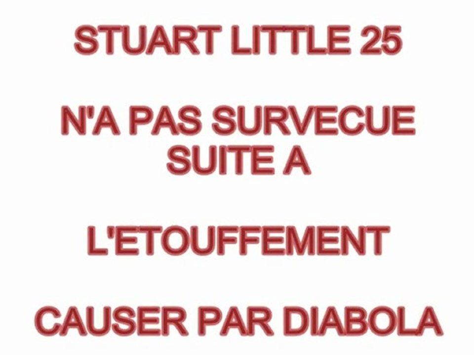 Serpent vs souris ( snake vs mouse )