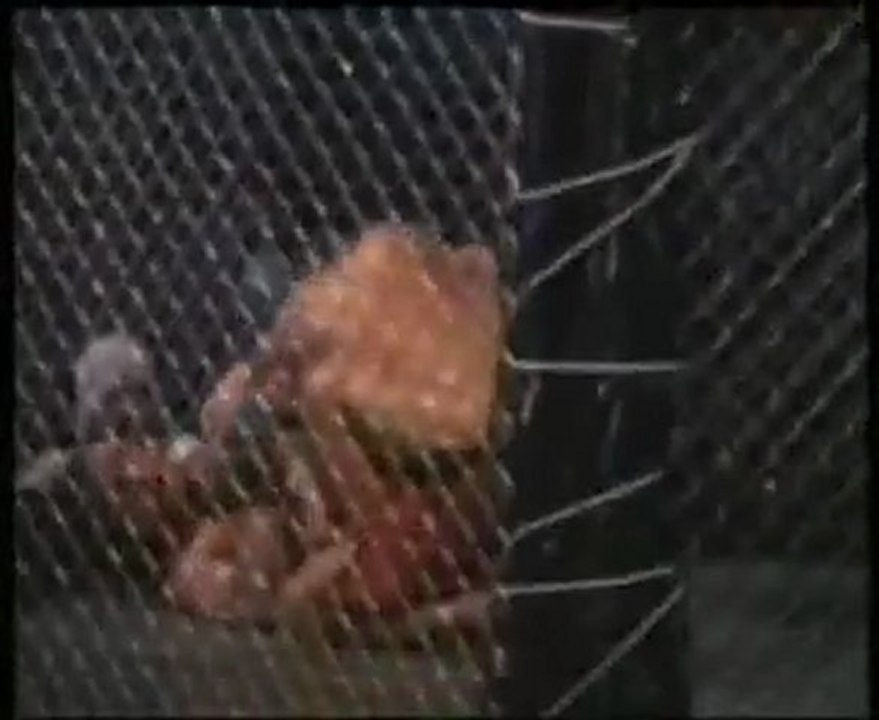 Driss El Bakara Vs Juan Ferro FFC2