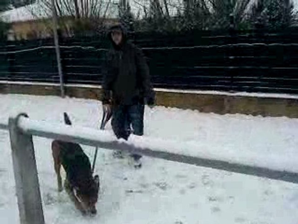 earl fou neige janv 2010