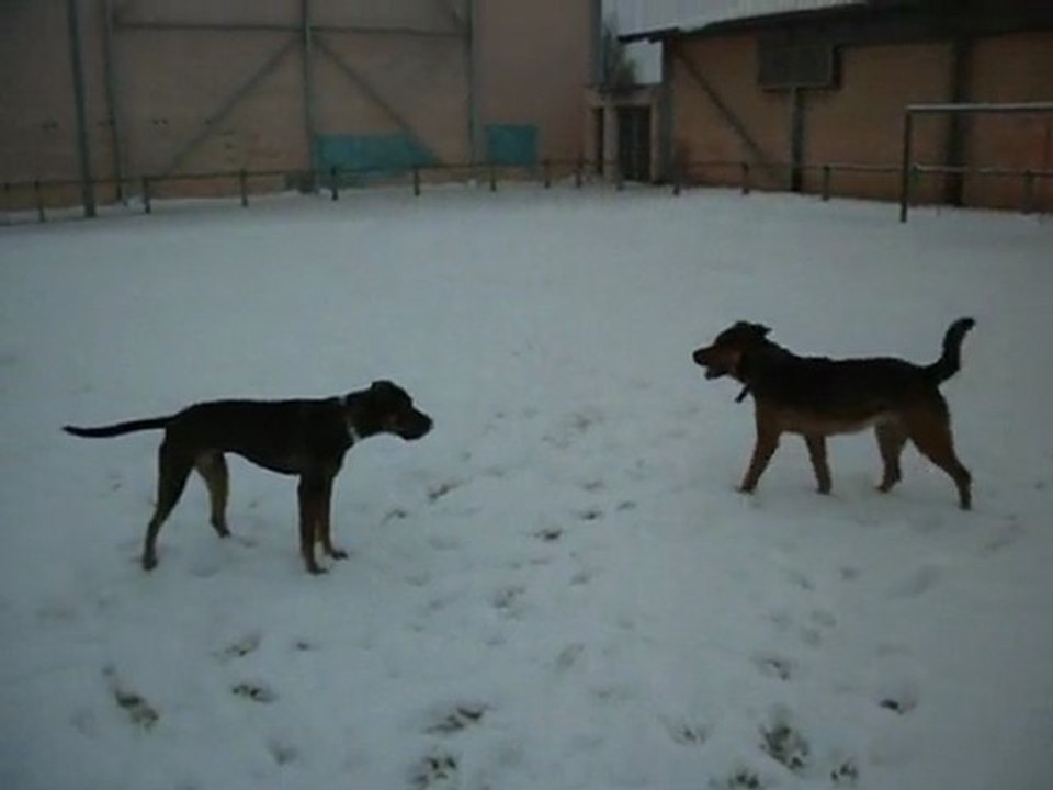 earl aki ki ce chamaille