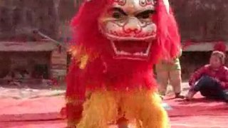 Chinese Northern Lion China