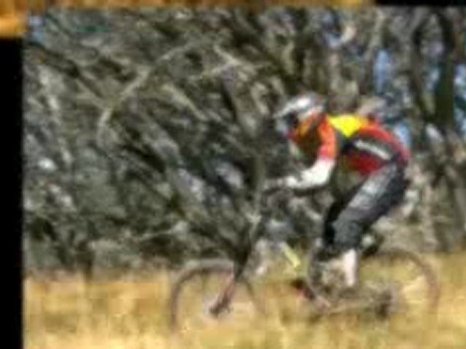 Tiger GPS Coupons, Coupon Codes, Promotional Codes, and Onli