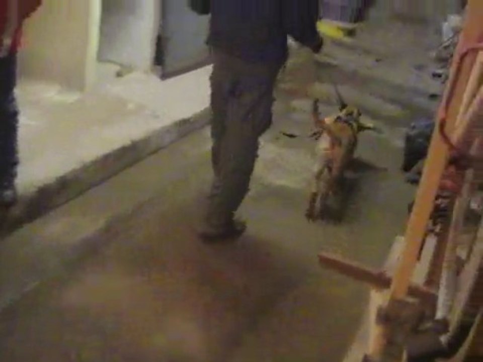 BETTY-Beinmanschette