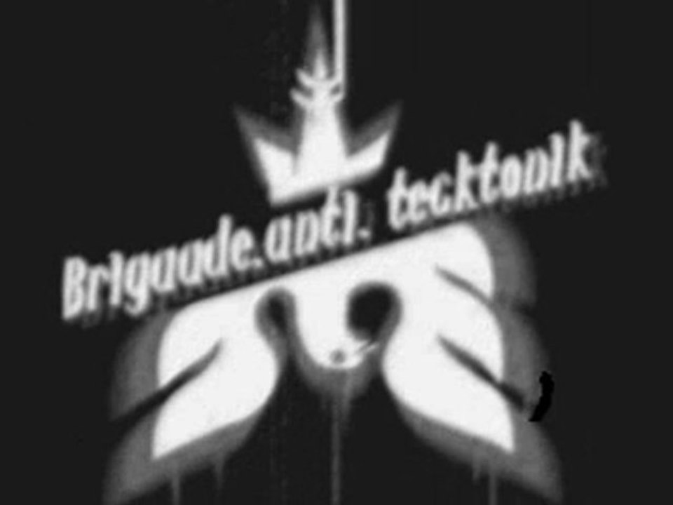 Brigade anti-tecktonik