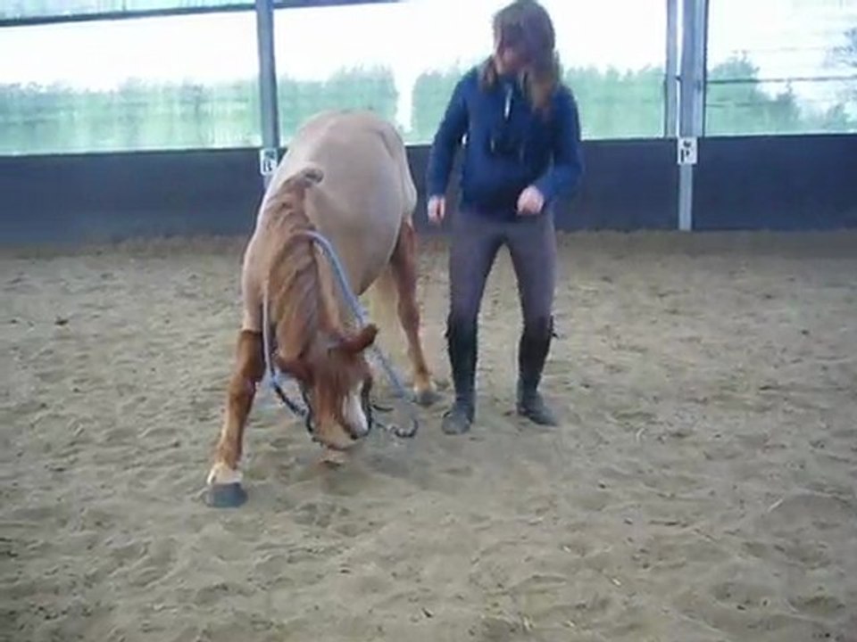 Olymp : reverence =)