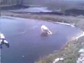 plongeon dans un lac. MDR