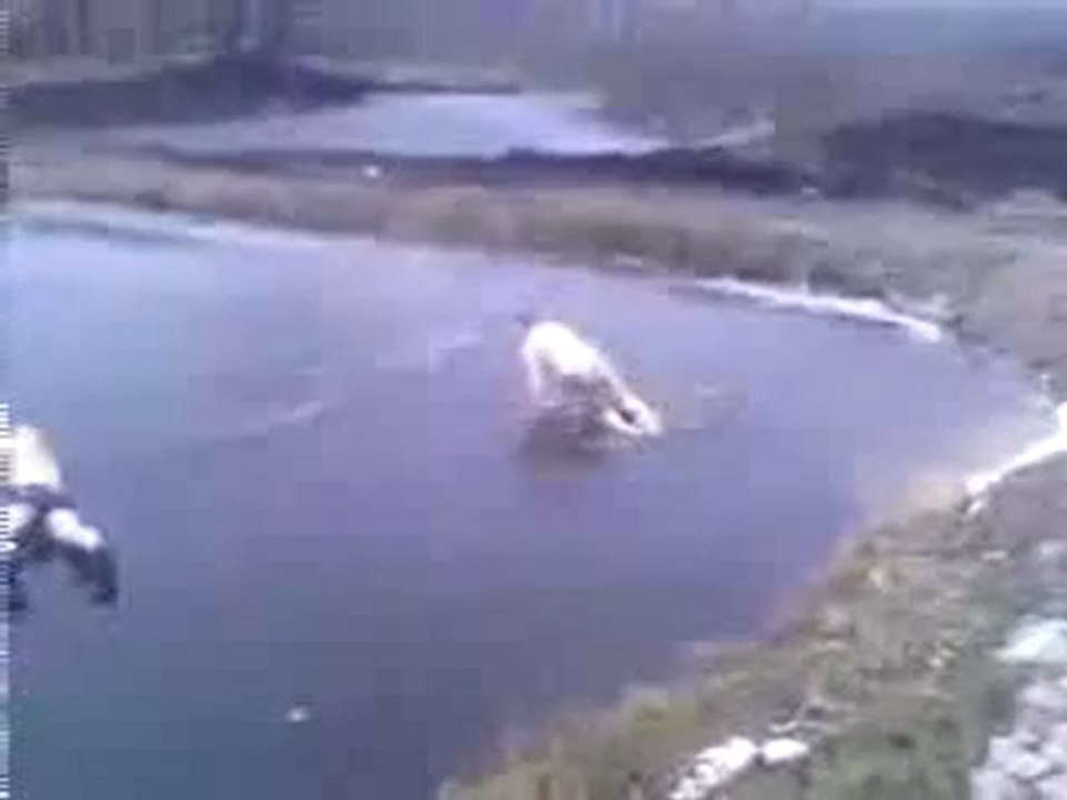 plongeon dans un lac. MDR