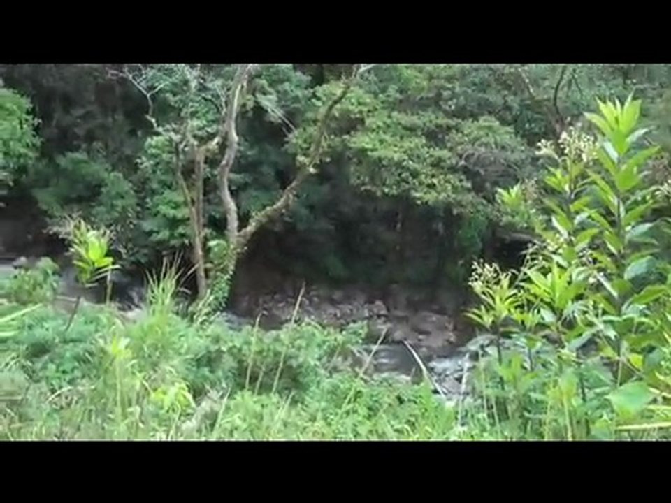 Boquete Scooter Adventure