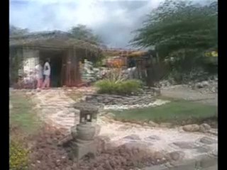 sunday nowness 10-26-08