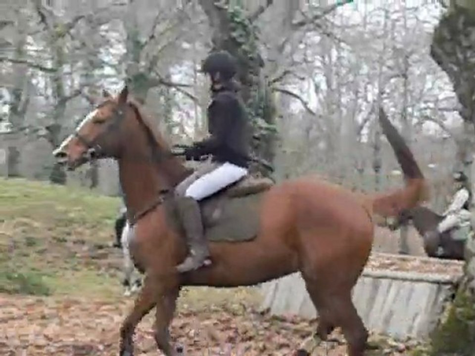 équitation