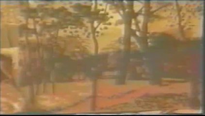 ЗАВТРАК на ТРАВЕ * Muzeum Rondizm TV