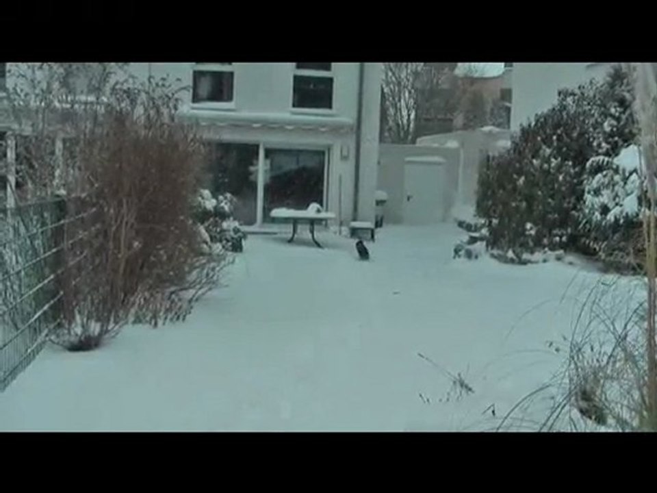 Tief Daisy in Deutschland Januar 2010