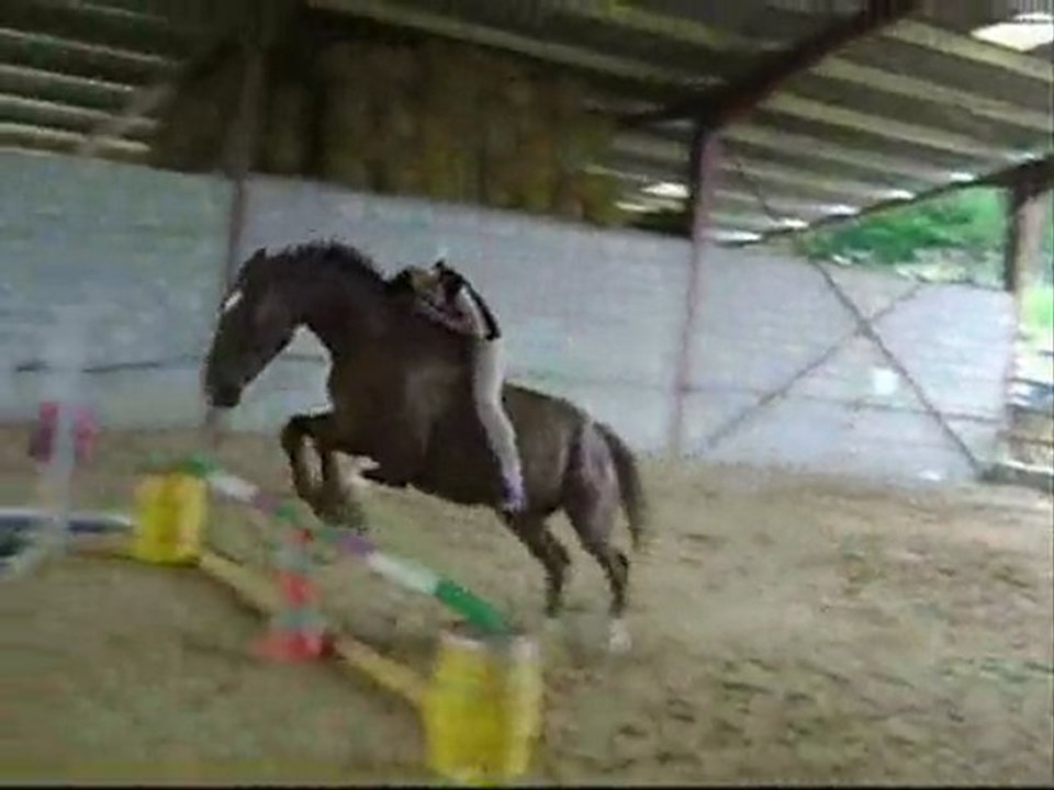 Résumé du travail avec Cabriole ;)