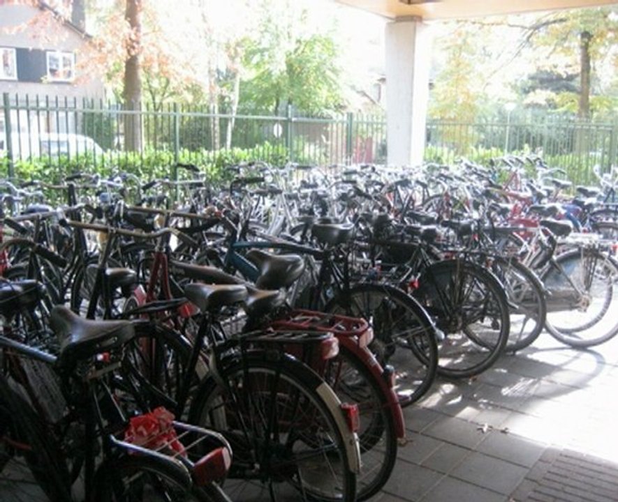 journal tele breda 2009