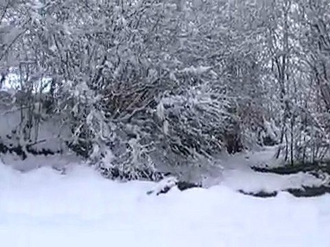 Bécasse en vol ruisseau janvier 2010 neige