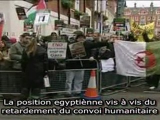 INFOPALESTINE : EGYPTE EXPULSE GEORGES GALLAWAY